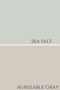 Agreeable-Gray-And-Sea-Salt