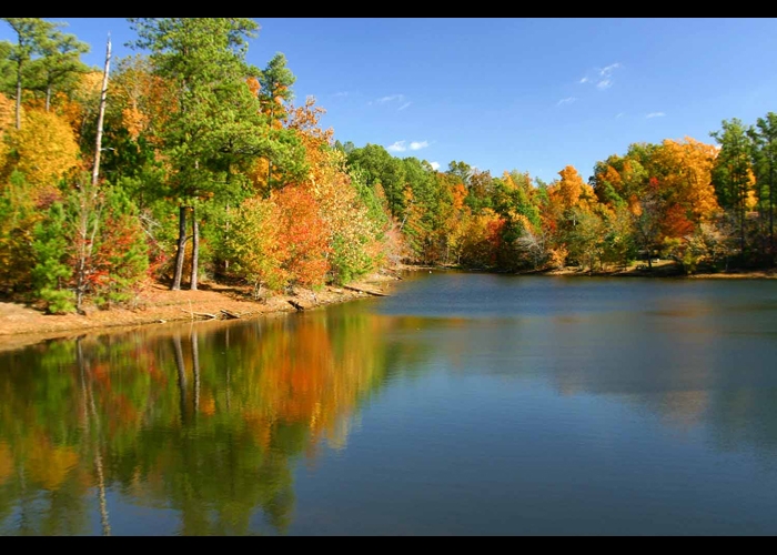 land-survey-tennessee