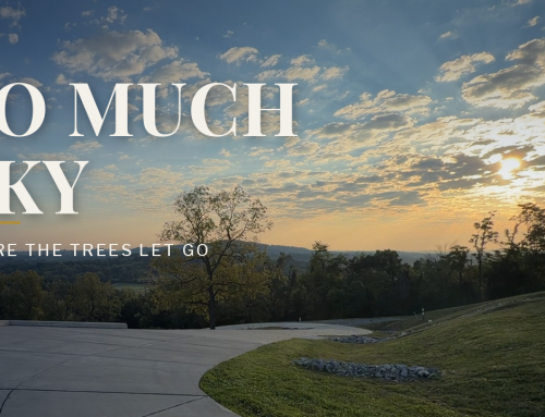 Why the South Almost Never Gives You a View